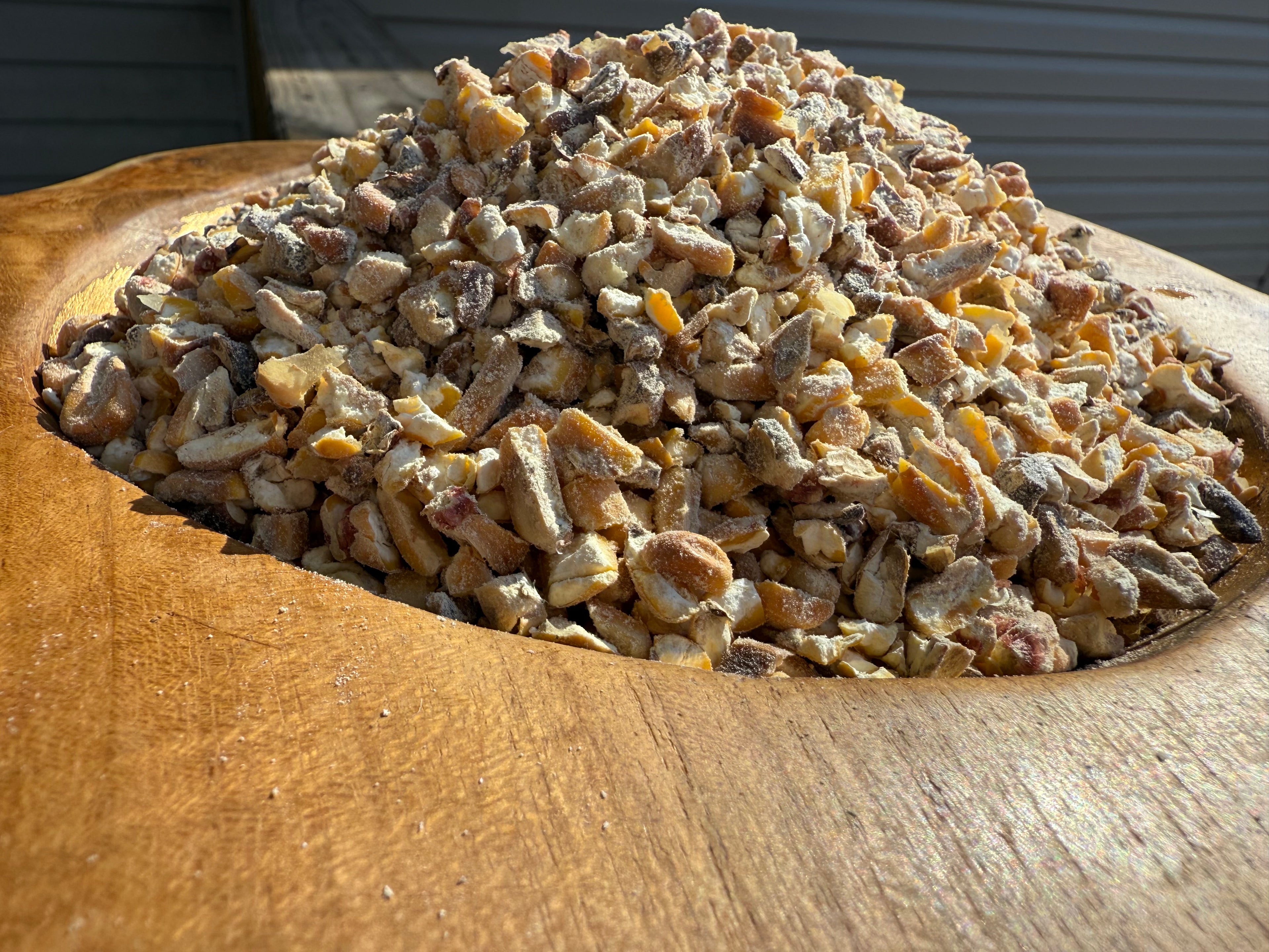 Toasted Corn