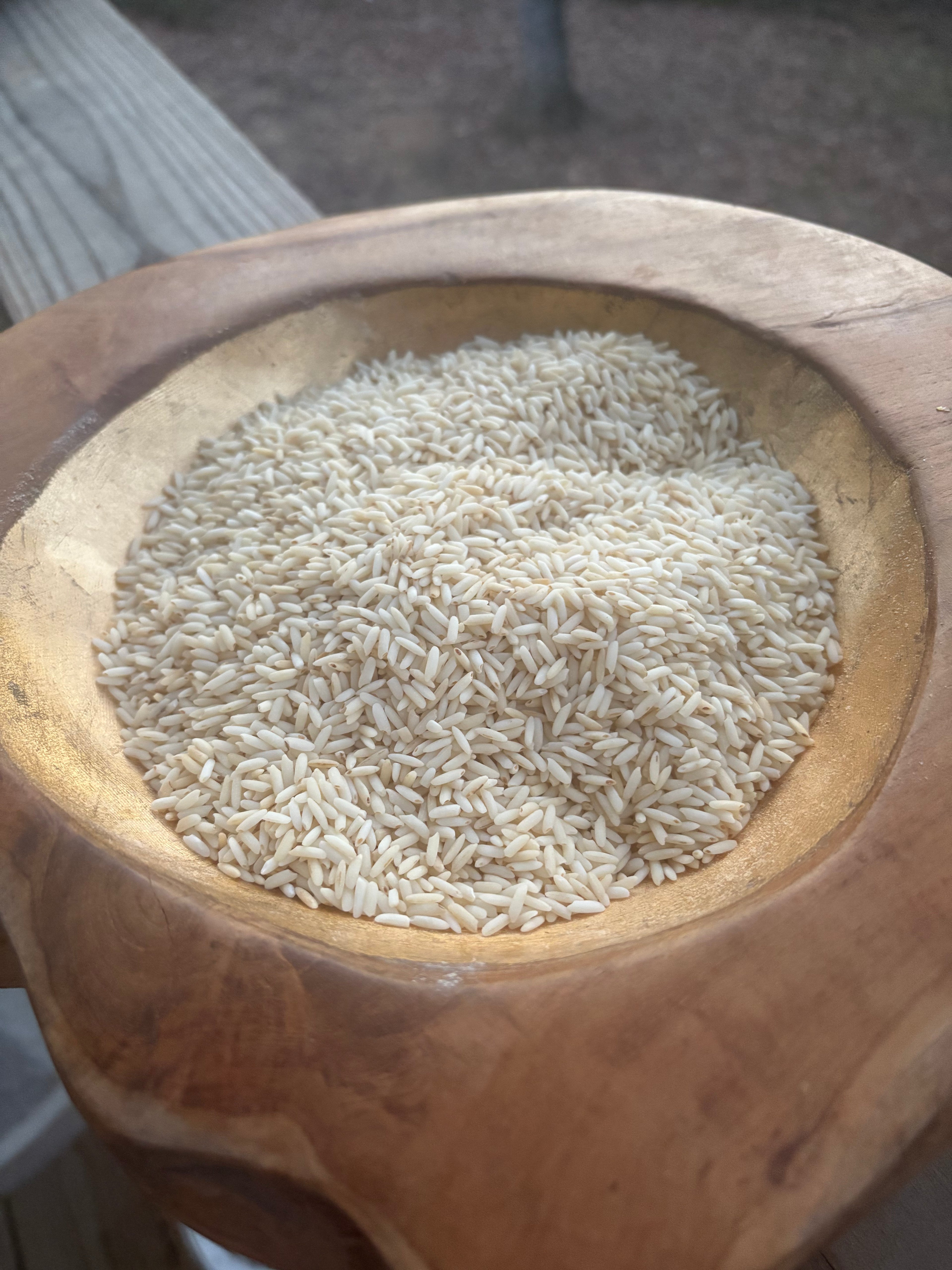 Toasted rice